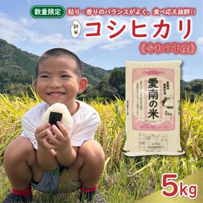新米 令和7年産 コシヒカリ 5kg お米 白米 精米 えひめ南農業協同組合 愛南町 愛媛県 | ふるさと納税のお礼品