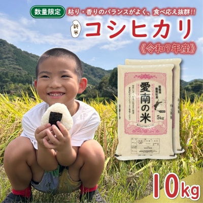 新米 令和7年産 コシヒカリ 10kg お米 白米 精米 えひめ南農業協同組合 愛南町 愛媛県 | ふるさと納税のお礼品
