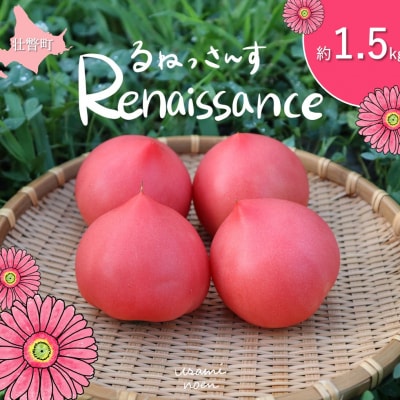 北海道壮瞥町産　ルネッサンス1.5kg　トマト　SBTAJ007