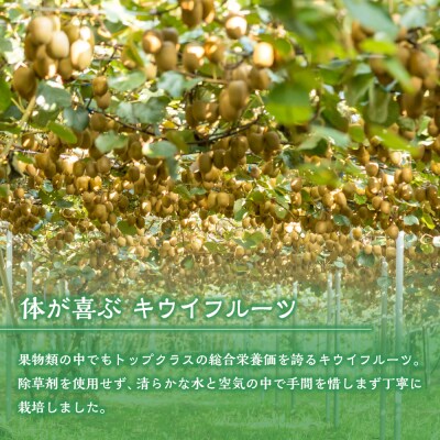 体が喜ぶ☆大玉・中玉キウイフルーツ ヘイワード　N58