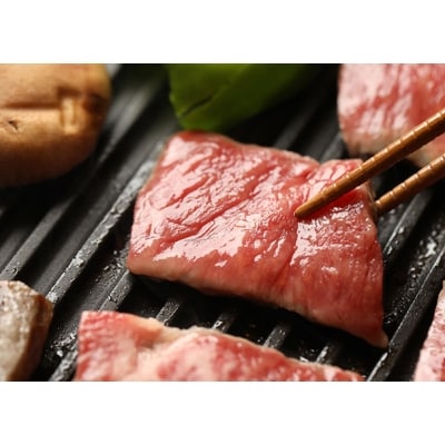 飛騨牛ロース焼肉用【500g】