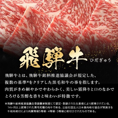 飛騨牛ロース焼肉用【500g】