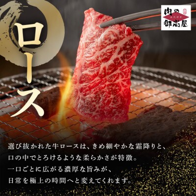 飛騨牛ロース焼肉用【500g】