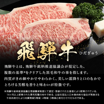 飛騨牛プレミアムセット 【ステーキ&スライス&焼肉 計2.6kg & 加工品全11品 豪華14品目】