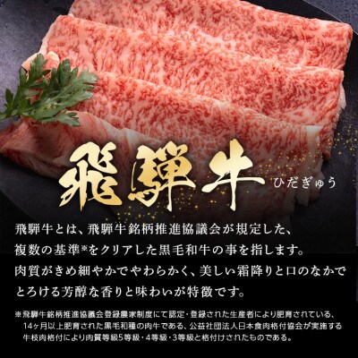 飛騨牛ローススライス【500g】