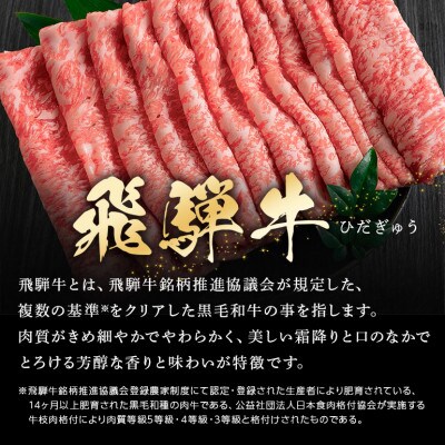 飛騨牛モモスライス【500g】