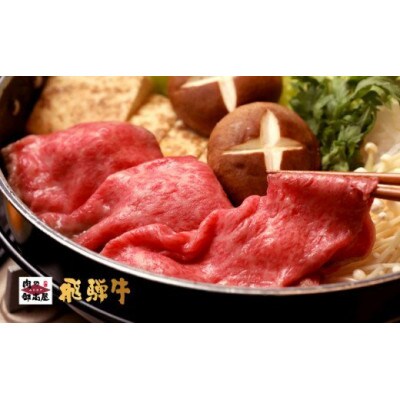 飛騨牛モモスライス【500g】