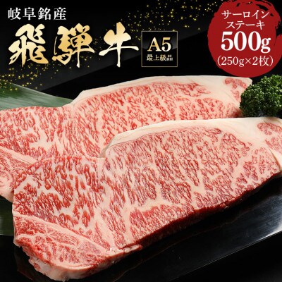 飛騨牛サーロインステーキ【250g×2】