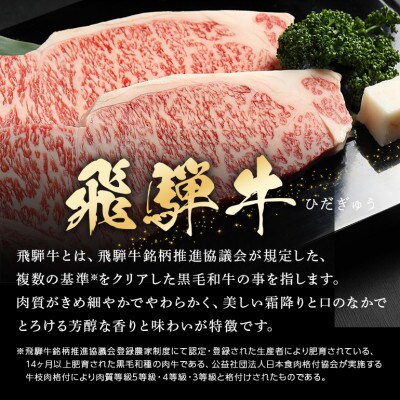 飛騨牛サーロインステーキ【250g×2】
