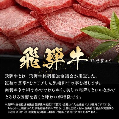 飛騨牛モモ焼肉用【500g】