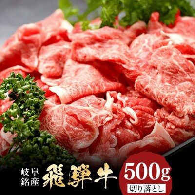 飛騨牛切り落とし【500g】