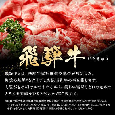 飛騨牛切り落とし【500g】
