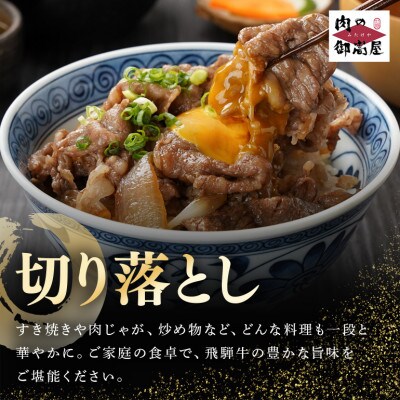 飛騨牛切り落とし【500g】