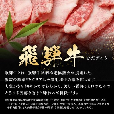 飛騨牛カルビー焼肉用【500g】