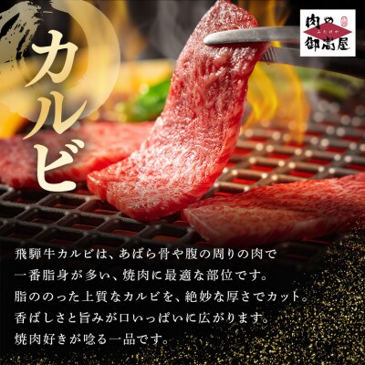 飛騨牛カルビー焼肉用【500g】