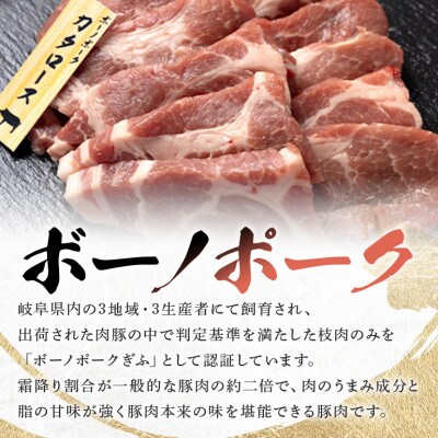 飛騨牛&ボーノポーク&ウインナー 焼肉用セット 2～3人前 【計950g】