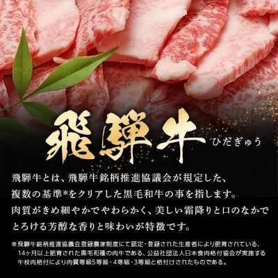 飛騨牛&ボーノポーク&ウインナー 焼肉用セット 5～6人前 【計1.5kg】
