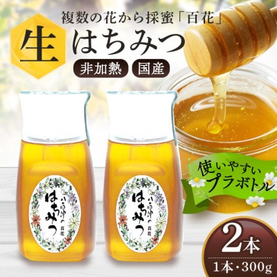 はちみつ 百花 プラボトル 300g 2本