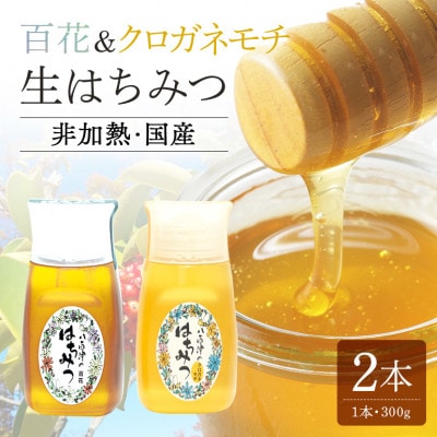 使いやすいポリ容器入り 非加熱生はちみつ 百花とクロガネモチ 300g 各1本　計2本