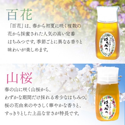 はちみつ 百花 山桜 プラボトル 300g 各1本 計2本