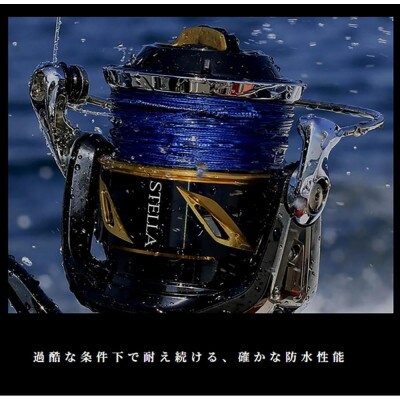 シマノ 釣具 ステラ SW 30000