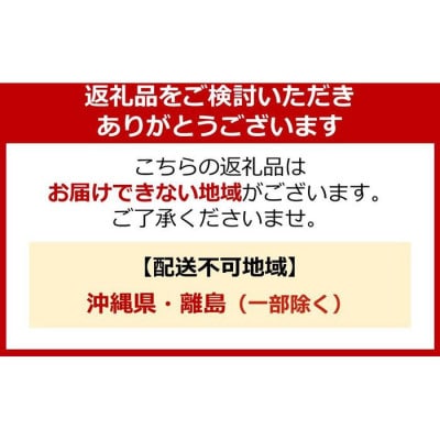 ライオン「NANOXone」つめかえ用超特大3袋×2種類