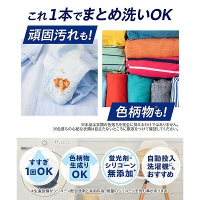 洗濯洗剤 NANOXoneニオイ専用 詰替え用液体洗剤 765g×6 ライオン洗剤