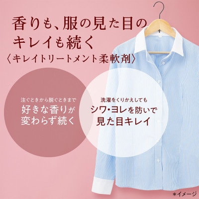 柔軟剤 ソフラン アロマリッチダイアナ 750g×6 詰替え用柔軟剤
