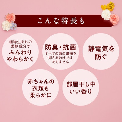 柔軟剤 ソフラン アロマリッチダイアナ 750g×6 詰替え用柔軟剤