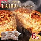 堺の技が光る無添加の牛肉100%ハンバーグ　6食セット