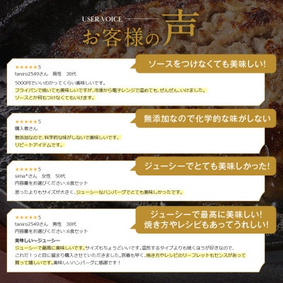 堺の技が光る無添加の牛肉100%ハンバーグ　6食セット