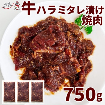 堺の技が光る牛ハラミたれ漬け　750g