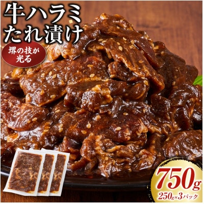 堺の技が光る牛ハラミたれ漬け　750g
