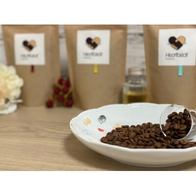 【中細挽き粉】コーヒー3種+かんたんドリップフィルターセット