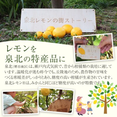 泉北レモン(R)クラフトコーラ 2本セット