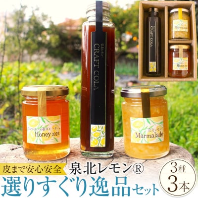 泉北レモン(R)選りすぐり逸品 3本セット