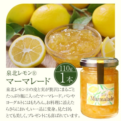 泉北レモン(R)選りすぐり逸品 3本セット