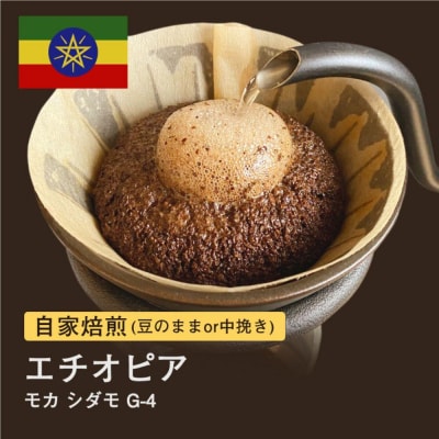 【豆】#012 モカ シダモG-4 コーヒー豆 310g 