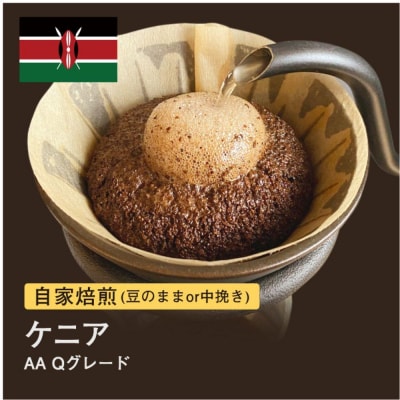 【豆】#013 ケニア AA Qグレード コーヒー豆 310g 