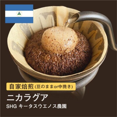 【豆】#038 ニカラグア SHG キータスウエノス農園 コーヒー豆 310g 