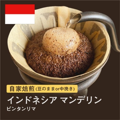 【粉】#075 インドネシア マンデリン ビンタンリマ コーヒー豆 310g 