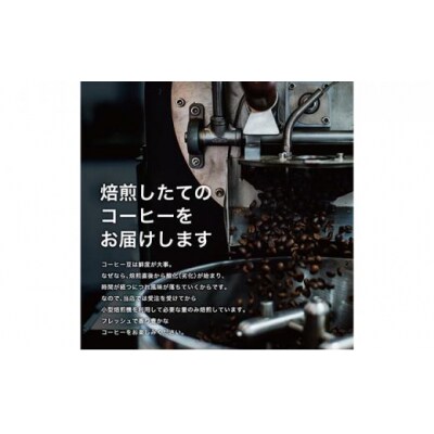 【粉】#088 ケニア マサイ AA コーヒー豆 310g 