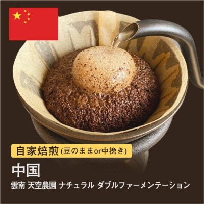 【豆】#115 雲南 天空農園 ナチュラル ダブルファーメンテーション コーヒー豆 310g 