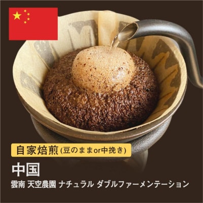 【粉】#115 雲南 天空農園 ナチュラル ダブルファーメンテーション コーヒー豆 310g 