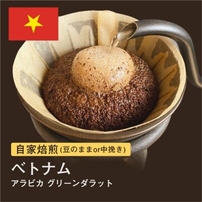 【粉】#172 ベトナム アラビカ グリーンダラット コーヒー豆 310g 