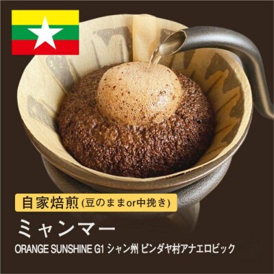 【粉】#180 ミャンマー ORANGE SUNSHINEG1 コーヒー豆 310g 