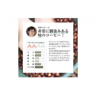 【豆】#901 ブラジル カルモデミナス Qグレード コーヒー豆 310g 