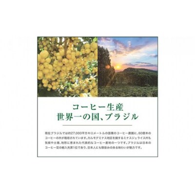 【豆】#901 ブラジル カルモデミナス Qグレード コーヒー豆 310g 