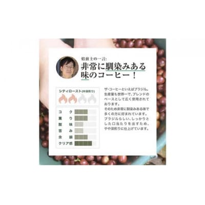 【粉】#901  ブラジル カルモデミナス Qグレード コーヒー豆 310g 