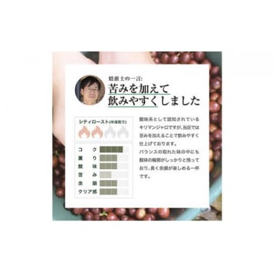 【豆】#902 タンザニア・キリマンジャロ キゴマ キボー ディープブルー AA  310g 